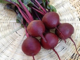 Beets Detroit Dark Red 35 Perfect Globes Frost Hardy Most Popular Bulk S... - $168.00 MXN