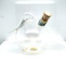 Vintage Collectible Alexander Society Glass Bottle Fly Trap Bottiglia No... - $382.60