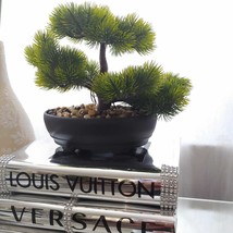 Eastern Faux Bonsai Tree in Boxwood Style Artificial Plant Decor  260x170x160Icm - £27.33 GBP