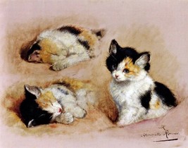 painting  Art Studies of an awakening kitten. Pets   Print Canvas Giclee - £6.42 GBP+