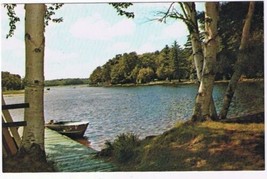 Ontario Postcard Heathcote Birch Trees Lake Boat At Pier - £2.31 GBP