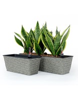 Catleza Set of 2 15.3-inch and 23.2-inch Smart Self-Watering Rectangle Hand-Wove - $33.61