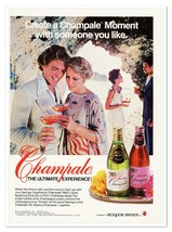 Champale Malt Liquor Iroquois Brands Vintage 1983 Full-Page Print Magazi... - $9.70