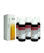 Dr.Reckeweg Germany R14 Nerve And Sleep Drops Pack Of 5 by Dr. Reckeweg - $48.34 CAD