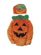 Zack &amp; Zoey Pumpkin Pooch Dog Costume, Small, Orange - £23.26 GBP+