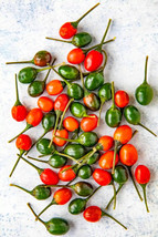 SKMO 25 Seeds Easy To Grow Bird&#39;S Eye Chili Peppers Vegetable Edible Food - $8.69