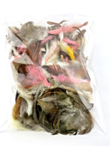 Craft Feathers Bag Multi-Color Brown Pink Yellow White  - $24.69