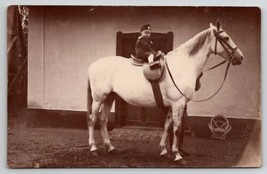 RPPC Cute Little Boy Hidden Father Large White Horse Postcard L25 - £11.92 GBP