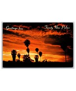 Sunset View Greetings Twenty Nine Palms California CA UNP Chrome Postcar... - $3.91