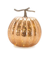 LED Mercury Glass Pumpkin Decor (Set of 2) - 620963 - $2,673.22 MXN