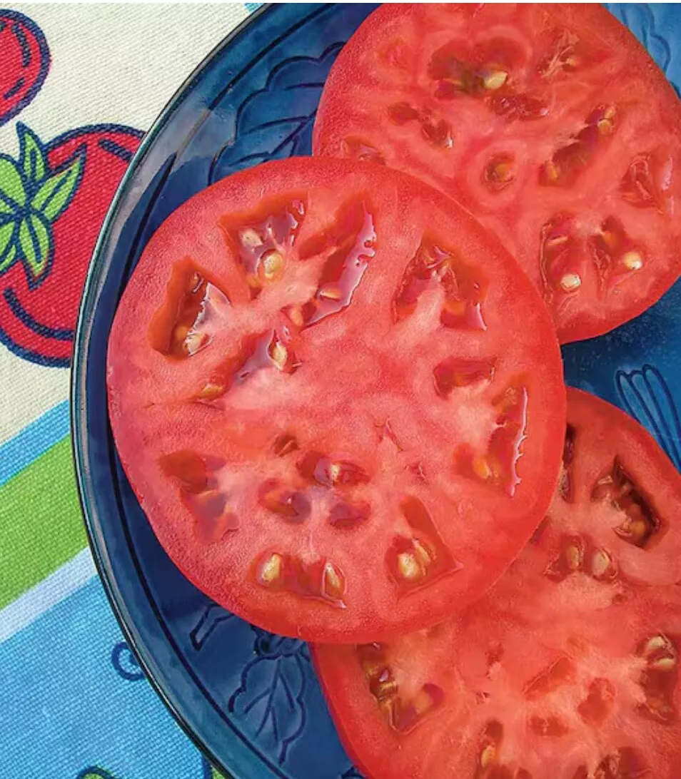 SYST 15 Seeds Beefsteak Heirloom Tomato Non Gmo Seed Catalog Home Garden  - $169.70 MXN