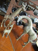 Brass Giraffe Family Sculpture of 3 Standing Giraffes Paperweight Sculpt... - €180,03 EUR