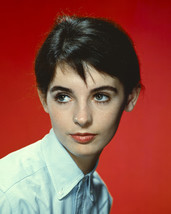 Millie Perkins beautiful studio head shot 1960's 8x10 Photo - $7.99