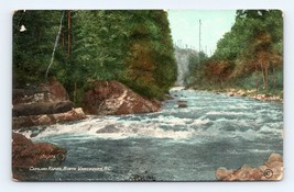 Capilano Rapids Capilano Canyon BC Canada 1915 DB Postcard F18 - $3.91