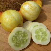 New Fresh 25 Seeds Lemon Cucumbers Planting Easy To Grow - €6,13 EUR