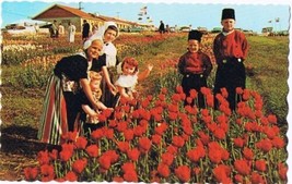Holland Michigan Postcard Tulip Time in Holland Children Wooden Shoe Factory - £2.32 GBP