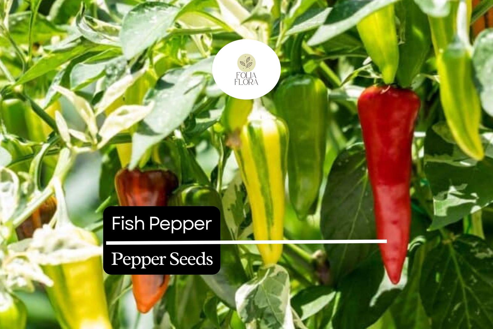 10 Seeds Fish Pepper – Capsicum annuum, Unique Striped Heirloom Hot Pepper - $5.14