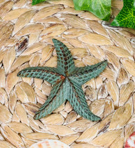 Cast Iron Verdigris Ocean Coral Sea Star Shell Starfish Decorative Accen... - $12.99