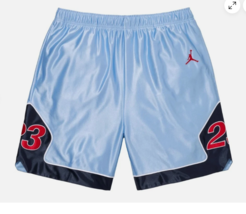 SUPREME X JORDAN WARM UP SHORT Light Blue Short Size Large HF3054-436 - $174.21