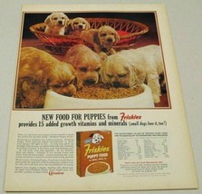 1963 Print Ad Friskies Puppy Food Cocker Spaniel Puppies - £9.88 GBP