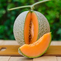 Vibrant Orange Melon Seeds (10 Pack) - Juicy Heirloom Variety, Perfect for Home  - £2.37 GBP