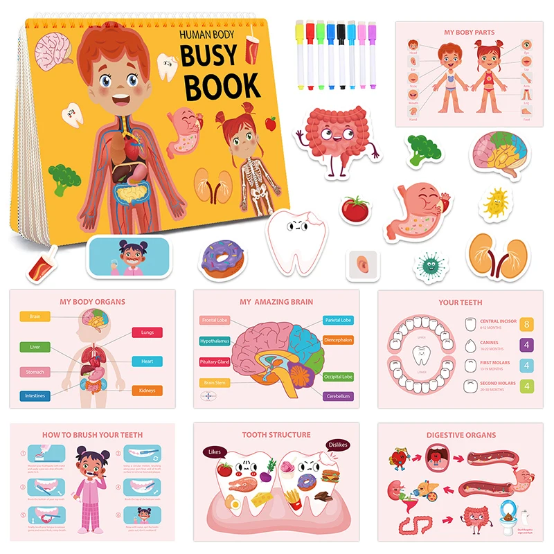 Children Montessori Human Body Torso Busy Book Paste Quiet Book Cognition Of - £10.94 GBP+