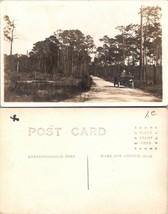 USA Unknown Location People Driving Car on Road Tall Trees RPPC Antique Postcard - £11.13 GBP