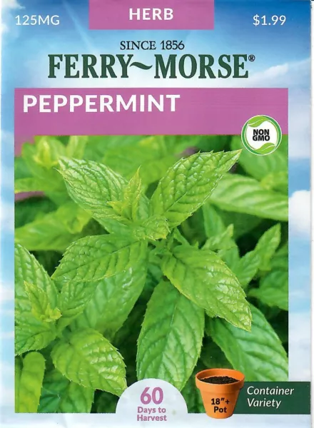 Peppermint Herb Seeds Non-Gmo - Ferry Morse 12/24 Fresh Garden - $7.40