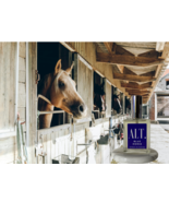 ALT Fragrances BLUE HORSE 2 oz / 60ml Extrait De Perfum, No Box - $34.51 CAD