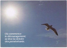 Belgium Postcard Where Discouragement Begins The Victory Seagull Sunlight - £1.77 GBP