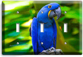 Hyacinth Tropical Blue Macaw Bird Parrot Triple Light Switch Plate Room Hd Decor - £14.33 GBP