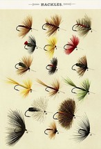Hackles Flies - 1892 - Fishing Illustration Poster - $32.99
