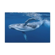 Whale Hunting Whale on Hunt Print Animal Wall Art Wildlife Canvas Prints Wall A - £56.28 GBP+