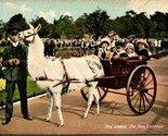 Vtg Postcard 1910s London England London Zoo The Llama w Pull Cart UNP - £10.45 GBP