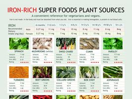 Iron-rich Vegan Diet Chart, digital download PDF, ron levels chart, plant food i - £3.19 GBP