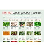 Iron-rich Vegan Diet Chart, digital download PDF, ron levels chart, plant food i - £3.14 GBP