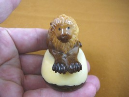 (tn-lion-600) LION lions wild cat TAGUA NUT Figurine Carving Vegetable i... - $26.02