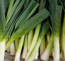 THJAR 50 ct American Flag Leek Seeds - Non-GMO / Heirloom - - $3.02