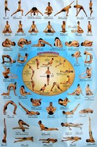 Yoga Asanas Sanskrit 24x36 inch rolled wall Poster - £11.87 GBP