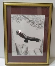 Condor Original Work of Art Diane Iverson Pen &amp; Ink Framed Matted Signed OOAK - £201.45 GBP