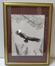 Condor Original Work of Art Diane Iverson Pen &amp; Ink Framed Matted Signed OOAK - £192.04 GBP