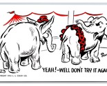 Comic Risqué Elephant Gets Fresh UNP Bortz Chrome Postcard L19 - $8.25