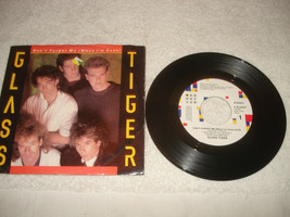 Glass Tiger - Don&#39;t Forget Me (When I&#39;m Gone) - 45RPM - Near Mint Promo - £17.49 GBP