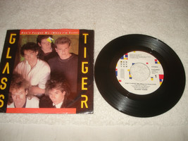 Glass Tiger - Don&#39;t Forget Me (When I&#39;m Gone) - 45RPM - Near Mint Promo - £17.50 GBP