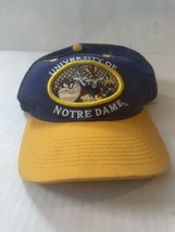 Notre Dame Looney Tunes Snapback Hat Vtg 90s Blue Yellow NCAA - £30.10 GBP