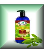 Green Tea Seed Oil (Camellia Sinensis), Virgin - €11,24 EUR+ Green Tea Seed Oil (Camellia Sinensis), Virgin - €11,24 EUR+