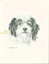 #140 mixed breed TERRIER MUTT dog art print Pen and ink drawing by  Jan ... - $12.50