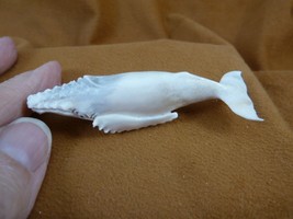 Whal-w108 Humpback Whale of shed ANTLER figurine Bali detailed love whales - $78.53