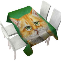 Cats Funny Faces Drawings a Concerned Ginger Tablecloth - $52.25 CAD+