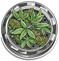 Grow Weed Vinyl Decal Sticker UV &amp; Water Proof Water Bottle Bumper Windo... - $109.41 MXN